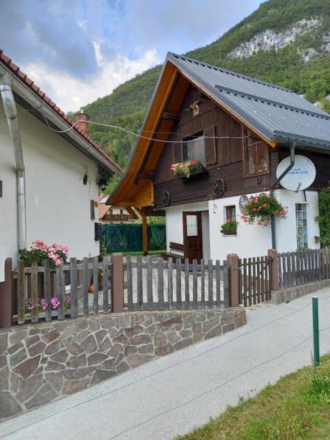 Apartmaji Bohinj Luaran gambar