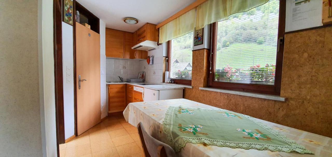 Apartmaji Bohinj Luaran gambar